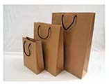 Paper Bag