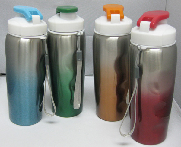 Sleek Stainless Steel Water Bottle